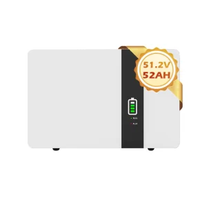 Wall Pack Automotive Charger Industrial Storage Battery 51.2V Solar Lithium-Ion Battery