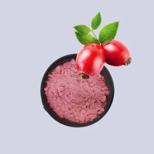 Organic Rosehip Fruit Powder