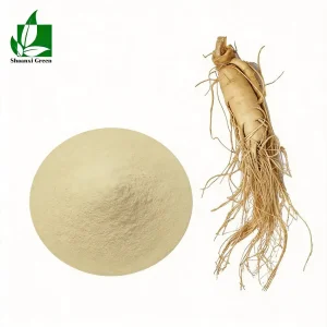 Extracto de tallo y hoja de ginseng panax natural certificado por la FDA 20% ginsenósidos