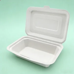 Sugarcane Bagasse Box