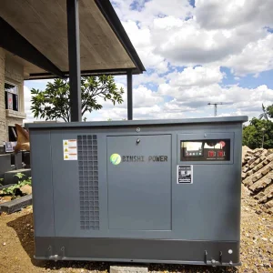 Dual Fuel Gas Generator