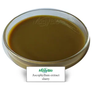 Seaweed Fertilizer Ascophyllum Nodosum Extract Algae Biositimulant Organic Liquid Fertilizer for Agriculture