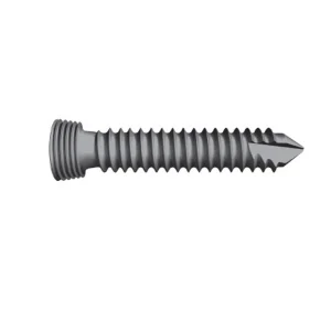 Chinese Titanium Locking Screw
