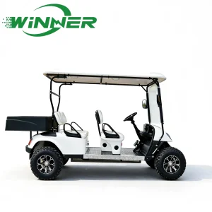 CE Approved 4 Seater with Rear Cargo Box