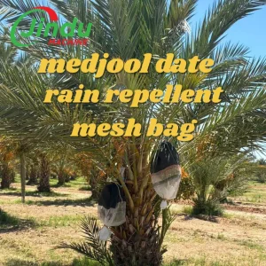 Saco de Malha HDPE Estabilizado UV para Proteção de Frutos de Palmeira Medjool