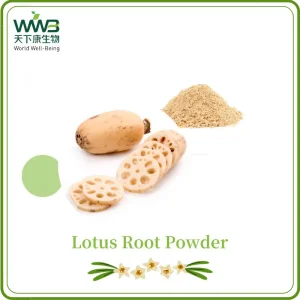 Lotus Root Powder