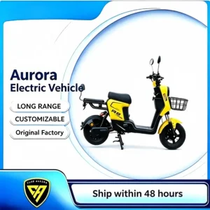 High-Quality Compact R9 City Electric Scooter