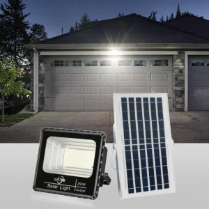 Induction LED Floodlight
