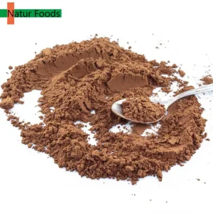 Chaga orgánico bienestar