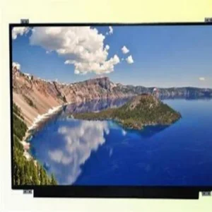 Panel Industrial Use 10 1" TFT LCD Color Touchscreen Display