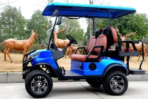 Luxury Golf Cart