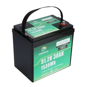 OEM 51.2V 30Ah lithium lifepo4 battery