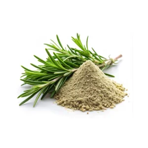 Natural Wild Rosemary Extract Powder