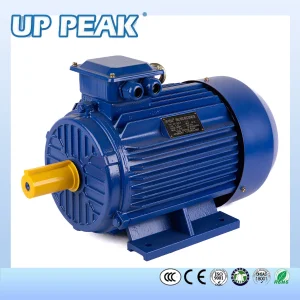 Premium Efficiency Induction Motor