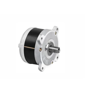 Brushless DC Motor