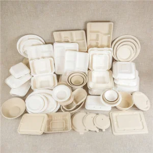 Embalagem para levar ecológica descartável utensílios de mesa compostáveis biodegradáveis de amido de milho PLA bagaço de cana clamshell caixa de almoço para alimentos