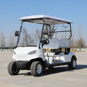 Customized Off-road Electric Golf Cart