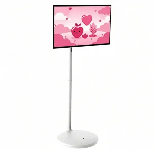 TV Power Supply Unit