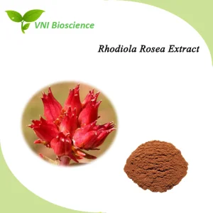 Extrato de Rhodiola Rosea Salidroside Natural Certificado Halal e Kosher