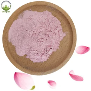 Hight Quality Drink Sakura Powder Cherry Blossom Powder Sakura Extract Powder