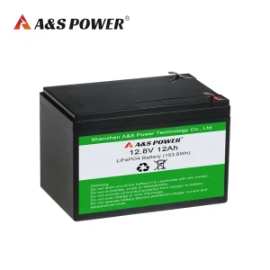 Custom Long Cycles Rechargeable LiFePo4 Battery Pack 12V