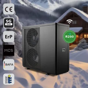 Air Source Heat Pump 22kw Air-Water R290 Monoblock DC Inverter for House Heating Cooling Dhw