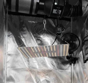 Samsung Flowering Booster