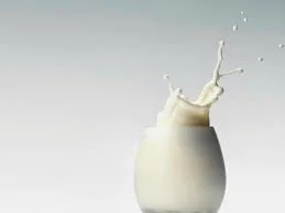 100% Pure Hydrolyzed Whey Milk Protein Powder