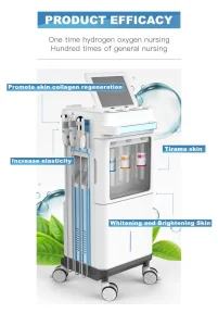 Professional Skincare Hydro Facial Machine for Beauty Salon Use