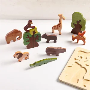 Handcrafted Wooden Toys India Special Education