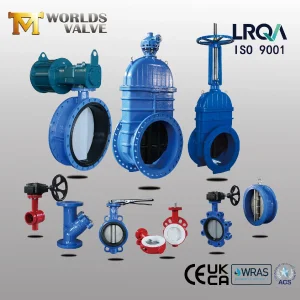 OEM ODM PTFE PFA Coaed Disc CF8 CF8m SS304 SS316 Wcb Bronze ANSI DIN JIS BS Standard Control Butterfly Valve Gate Valve Check Valve Y Strainer