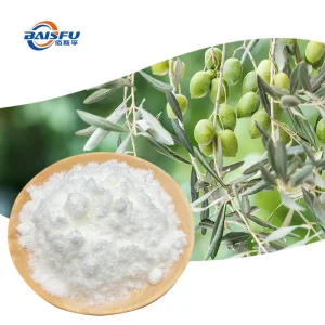 Oleanolic Acid Plant Extract High Content 99%CAS: 508-02-1