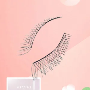 Korea Auto Lash
