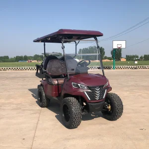 Fornecedor da China 48V
