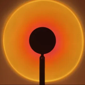 Magnetic Track Light