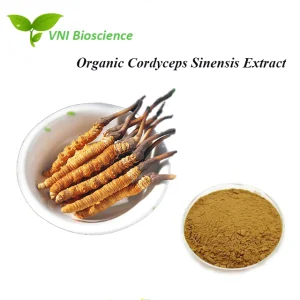 Kosher Certified 100% Natural Cordycepin Organic Cordyceps Sinensis Extract