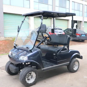 Hdk Wholesale 2 Seater Electric for Golf Course Fleet Golf Cart