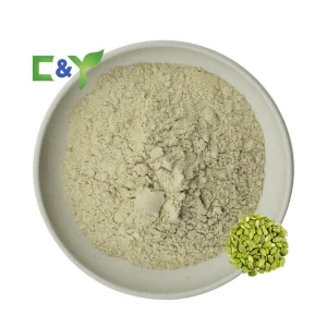 OEM Customized Pumpkin Seed Extract Powder Pumpkin Seed Extract Powder Pumpkin Seed Protein Powder 60%
