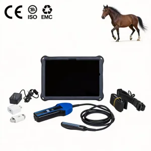 Bxl-S100 Escáner de Ultrasonido Ecuestre para Caballos - Máquina de Ultrasonido Inalámbrica Portátil para Diagnóstico de Embarazo en Yeguas