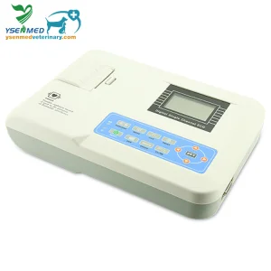 Ysecg100gv