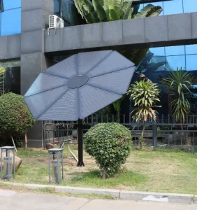 Sunflower Solar Panel