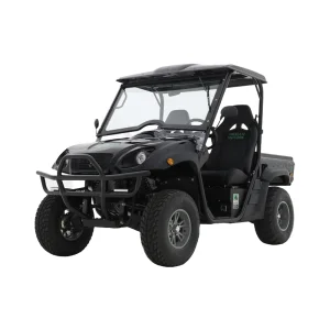 72V 2-Seater Electric UTV