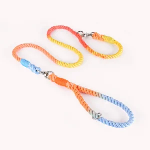 F&T Fashion Hot Sale Pet Products Wholesale Dog Leads Polyester Colorful Dog Leash