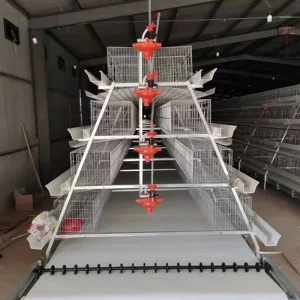 Gaiola de Bateria para Galinhas Poedeiras Equipamento de Criação de Aves