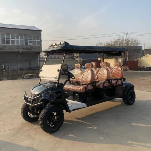 Solar Power Golf Cart