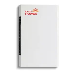 Buy Brick solar storage power ESS 51.2V 5KWH 100AH lithium battery