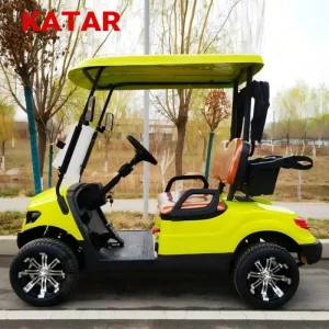 Lower Price 2 Seater Lifted Golf Carts Gas Powered Gasoline Golf Carts Support Customization