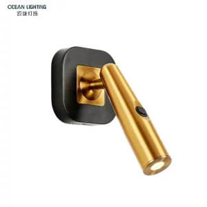 Modern Indoor & Outdoor Decorative Wall Lamp LED