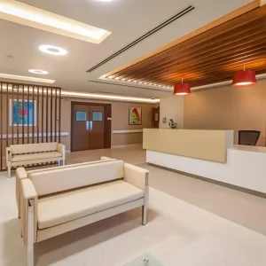 Hospital lobby custom sofa bed