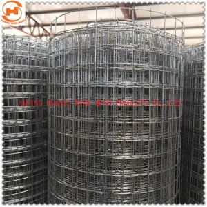 1'' Square Hole Galvanized/Stainless Steel Welded Wire Mesh